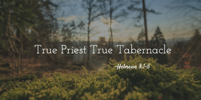 True Priest True Tabernacle